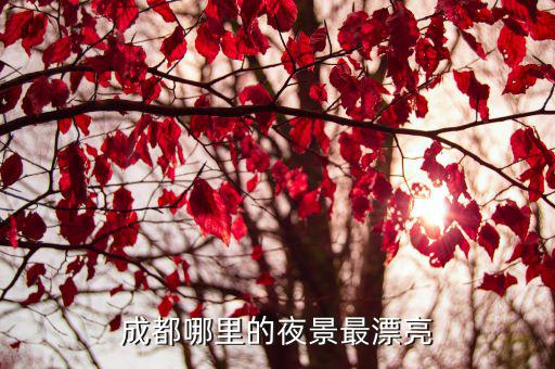 成都晚上夜景哪里最好,成都晚上哪里最美