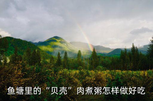 河南貝殼肉怎么做,貝殼肉怎么做