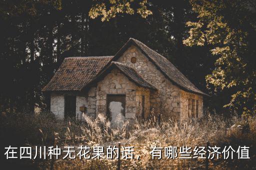 在四川種無花果的話，有哪些經(jīng)濟(jì)價值