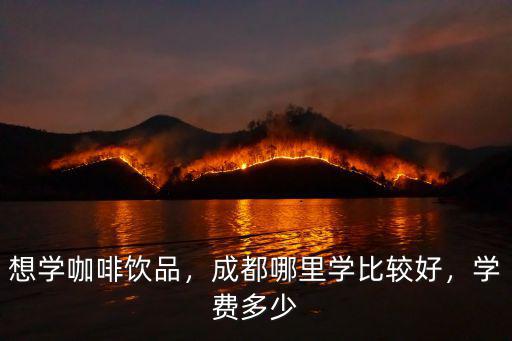 成都哪里可以學(xué)做奶茶 咖啡,學(xué)奶茶咖啡在哪里學(xué)比較好