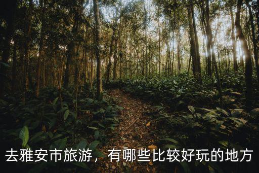 雅安附近哪里好玩的地方,有哪些比較好玩的地方