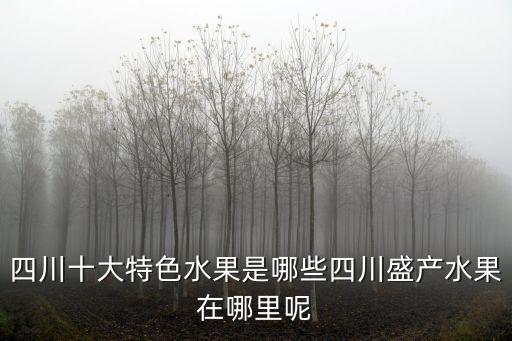 四川江安哪里有水果保護(hù)套賣,四川盛產(chǎn)水果在哪里呢