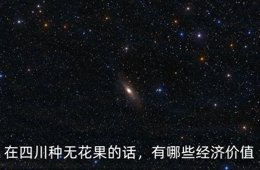 在四川種無花果的話，有哪些經濟價值