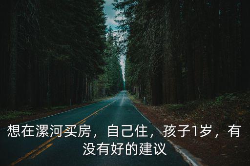 漯河買房怎么高價,在河南漯河買房