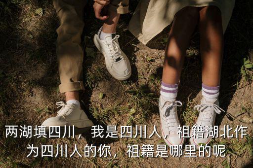 兩湖填四川，我是四川人，祖籍湖北作為四川人的你，祖籍是哪里的呢