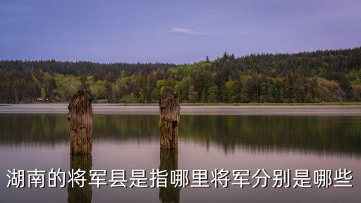 四川開國將軍最多的縣是哪里,湖南的將軍縣是指哪里