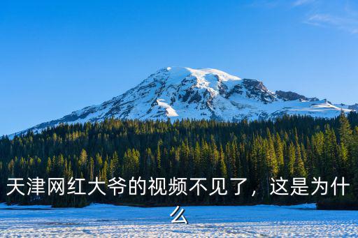 天津網(wǎng)紅大爺?shù)囊曨l不見了，這是為什么