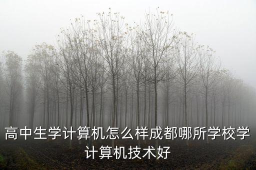 成都學計算機培訓哪里比較好,成都哪所學校學計算機技術好