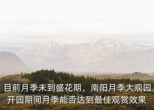 目前月季未到盛花期，南陽月季大觀園開園期間月季能否達到最佳觀賞效果