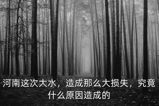 河南這次大水，造成那么大損失，究竟什么原因造成的
