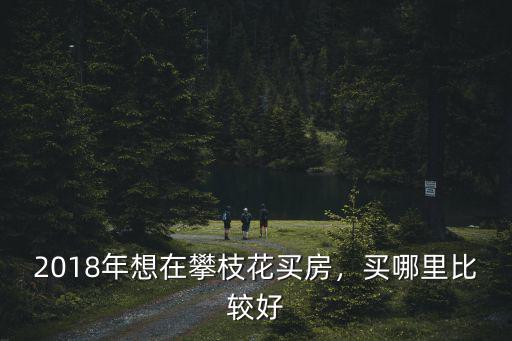 攀枝花娃娃讀書哪里買房最好,2018年想在攀枝花買房