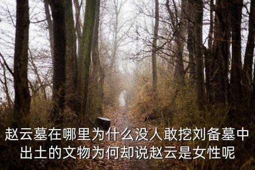 四川趙云廟在哪里,趙云墓在哪里