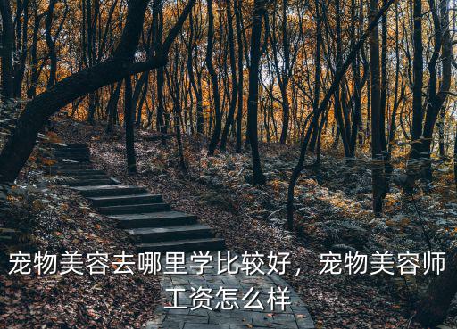 自貢在哪里學(xué)寵物美容,寵物美容去哪里學(xué)比較好