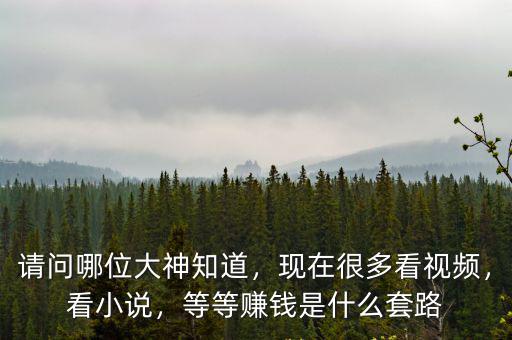眉山在哪里看小說賺錢,抖音如何通過小說變現賺錢