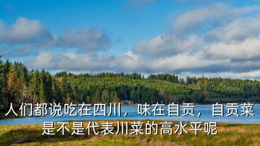 人們都說吃在四川，味在自貢，自貢菜是不是代表川菜的高水平呢