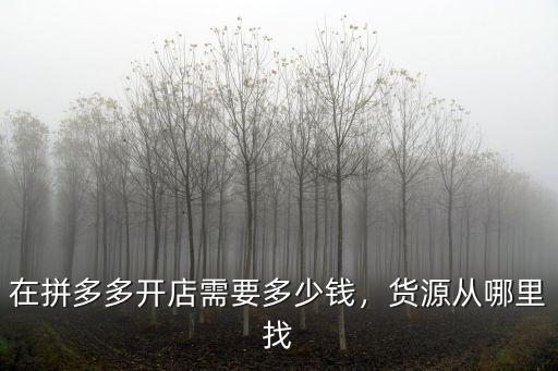 在拼多多開店需要多少錢，貨源從哪里找