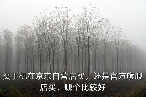 買手機在京東自營店買，還是官方旗艦店買，哪個比較好