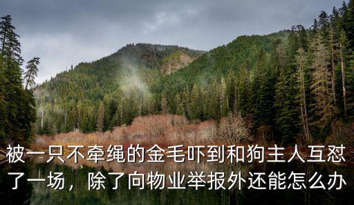 新鄉養狗不牽繩怎么舉報,小區遛狗不牽繩到哪里舉報