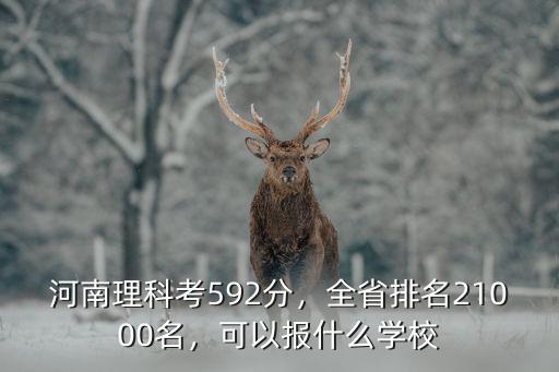 河南602分全省排多少名,全省排名21000名