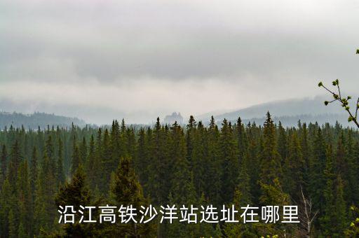 沿江高鐵沙洋站選址在哪里