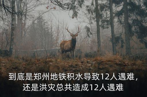 河南暴雨遇難人員是怎么遇難的,河南暴雨致多人遇難