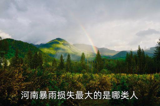 河南暴雨損失最大的是哪類人