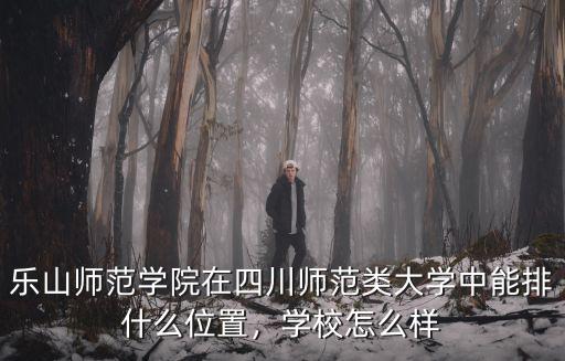 樂山師范學院官網在哪里找,樂山師范學院