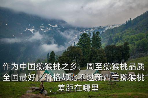 作為中國獼猴桃之鄉(xiāng)，周至獼猴桃品質(zhì)全國最好，價格卻比不過新西蘭獼猴桃，差距在哪里