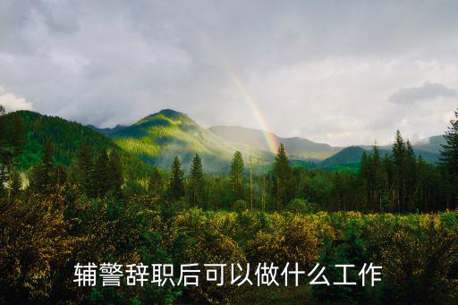 資陽輔警工作在哪里找,輔警辭職后可以做什么工作