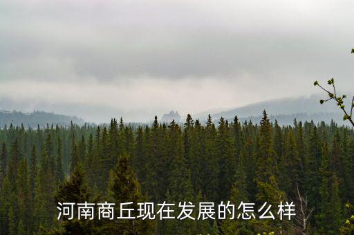 河南商丘現在發展的怎么樣