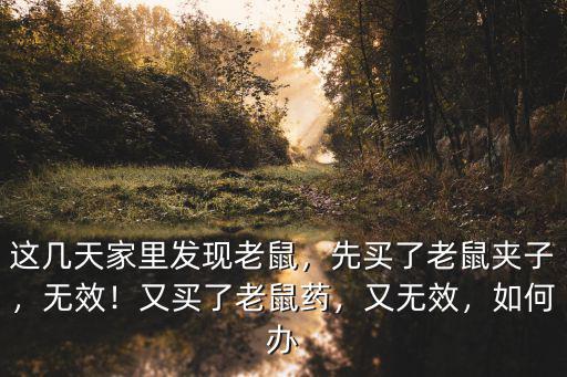 南陽哪里有老鼠夾子賣,先買了老鼠夾子