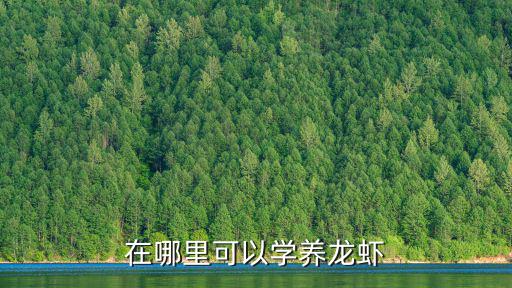 在哪里可以學(xué)養(yǎng)龍蝦
