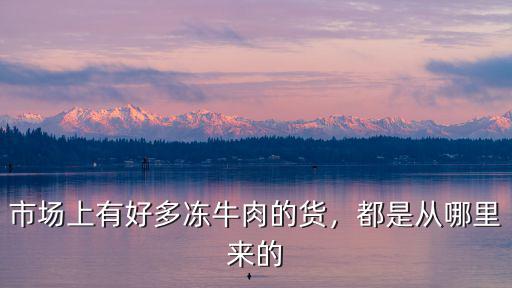 市場上有好多凍牛肉的貨，都是從哪里來的