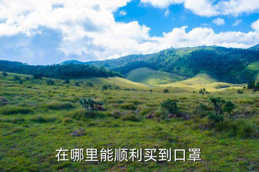 在哪里能順利買到口罩
