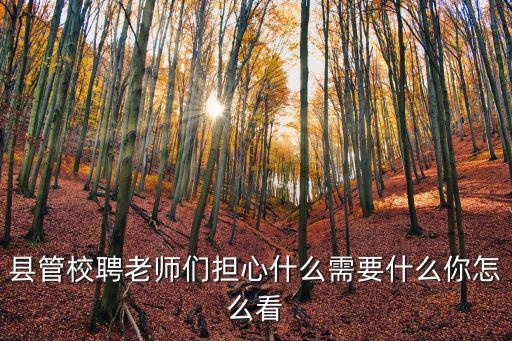 縣管校聘老師們擔(dān)心什么需要什么你怎么看
