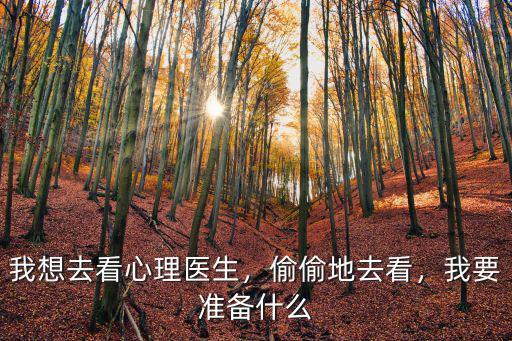 我想去看心理醫(yī)生，偷偷地去看，我要準(zhǔn)備什么