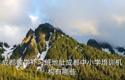 成都數學補習班地址成都中小學培訓機構有哪些