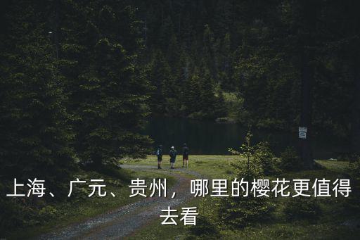 上海、廣元、貴州，哪里的櫻花更值得去看