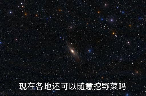 現在各地還可以隨意挖野菜嗎