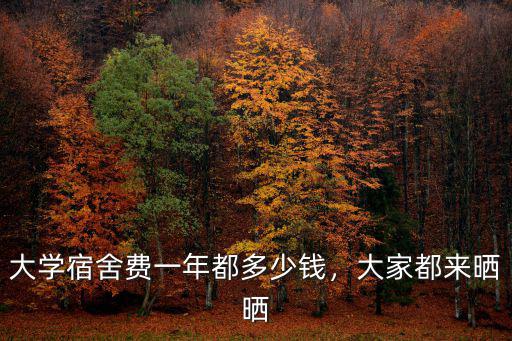 大學(xué)宿舍費(fèi)一年都多少錢，大家都來曬曬