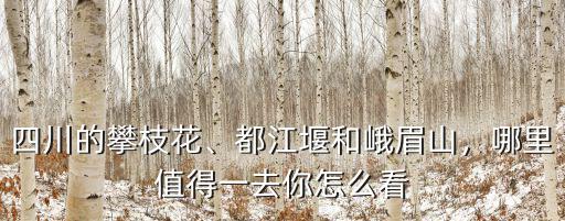 攀枝花地處哪里,四川的攀枝花