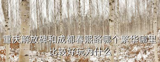 重慶解放碑和成都春熙路哪個繁華哪里比較好玩為什么