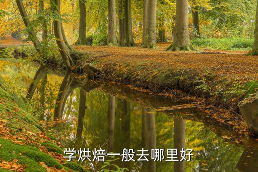 學烘焙一般去哪里好