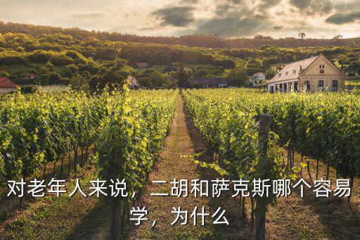 對老年人來說，二胡和薩克斯哪個容易學，為什么