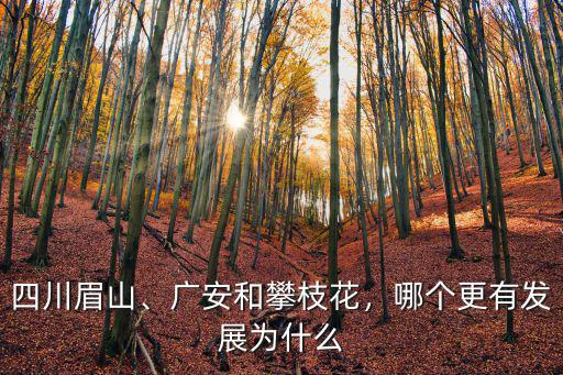 廣安和哪里挨著,廣安和攀枝花