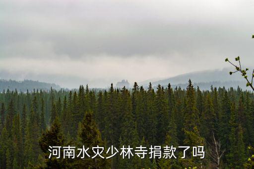 河南水災少林寺捐款了嗎
