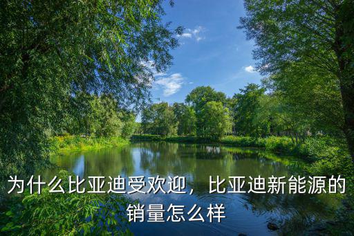 安陽比亞迪銷量怎么樣,比亞迪新能源的銷量怎么樣