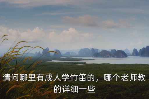 請問哪里有成人學竹笛的，哪個老師教的詳細一些