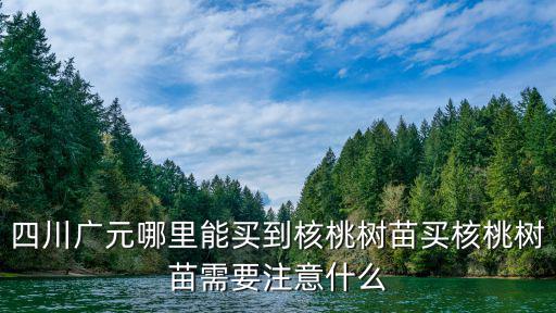 四川廣元哪里能買到核桃樹苗買核桃樹苗需要注意什么