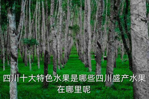 四川涼山水果在哪里拉,四川十大特色水果是哪些